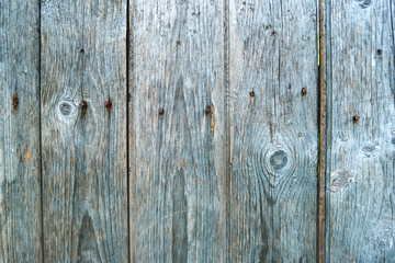 Wooden background of old fence with rusty nails. Shabby texture of green wooden boards.