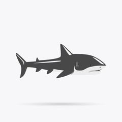 Marine Predator Shark Design Flat