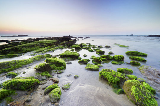 Moss covered rocks, Tindakon Dazang Beach, Kudat, Borneo, Malaysia