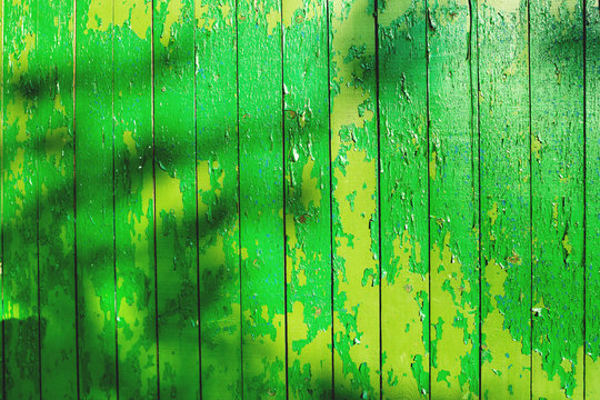 Fototapeta Wooden background of old fence with rusty nails. Shabby texture of green wooden boards.