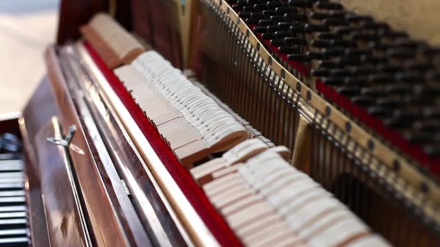 Man Playing the Piano