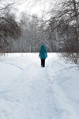 Siberia. A woman walks along the path in a birch forest on a Sun