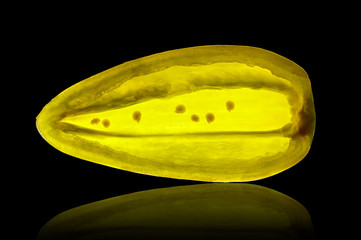 Slice of yellow pepper isolated on a backlit black background