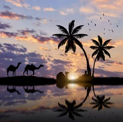 Papier Peint photo Chameau Silhouette d& 39 une caravane de chameaux et de bédouins