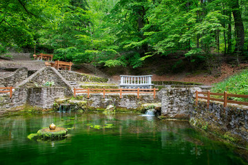 Fototapeta na wymiar Water spring with lake
