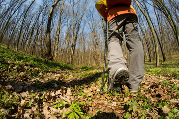 Male hiker walking in the forest