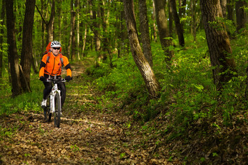 Naklejka premium Cyclist Riding the Bike on a Trail in Summer Forest