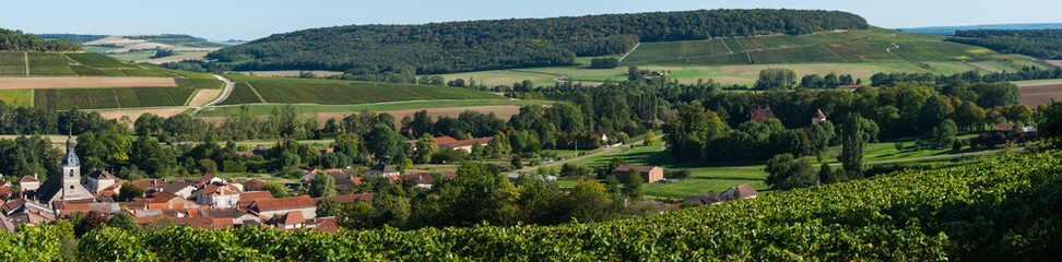 Fototapeta na wymiar Arrentieres, Champagne vineyards in the Cote des Bar area of the Aube departm