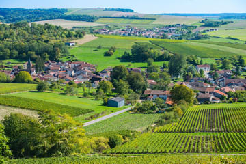 Naklejka premium Baroville, Champagne vineyards in the Cote des Bar area of the Aube departm