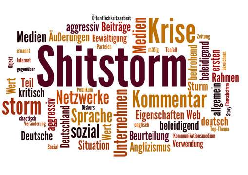 Shitstorm (Internet, Skandal)