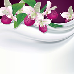 Vector purple pink lady slipper orchids on white silk, fabric ba