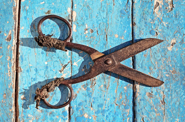 Old gardening scissors