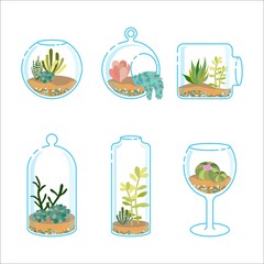 Set of flat florariums with different succulents and cactus for design modern interior. Plant in a glass aquarium. Vector illustration isolated on wight background