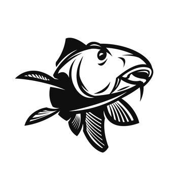 recommend clip art: carp vector illustration
