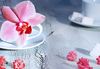 Obraz na płótnie Canvas Orchid flower and cup