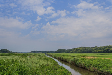 Fototapeta na wymiar 初夏の鹿島川の風景
