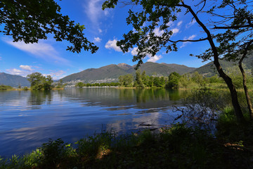 Laghetto nella palude