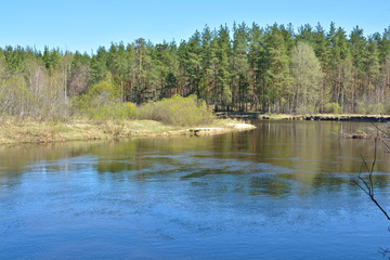 River spring landscape.