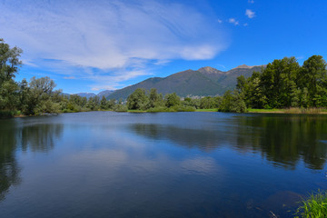 Fototapeta na wymiar Vista lago con alberi e cielo azzurro