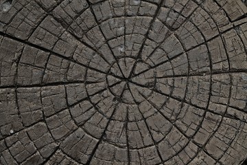 Dark rock background texture.