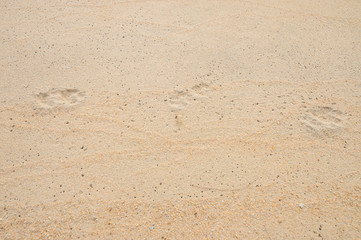 Sand beach