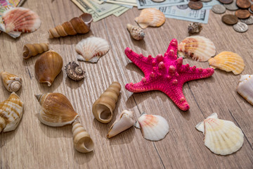 Fototapeta na wymiar seashell on wooden table