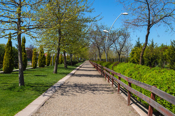 Fototapeta na wymiar Pathway in Park