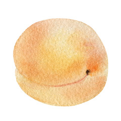 hand painted watercolor mockup clipart template of apricot