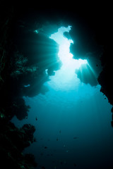 Sunlight and Dark Underwater Grotto
