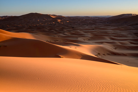 Sunset on a sand Desert with Dunes in Marocco, Africa