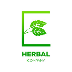 Letter E logo,Green leaf,Herbal,Pharmacy,ecology vector illustration