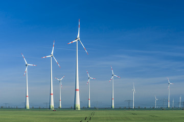 Windpark auf  Getreideacker im Frühjahr
