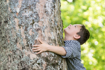 Junge blickt begeistert am Stamm eines alten Baumes hoch