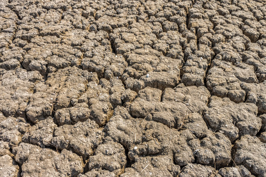 Dry cracked soil of levee of salt evaporation pond. It is mixed up with shells.