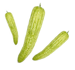 Gourd vegetable isolate