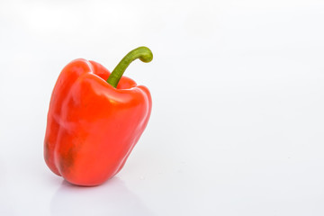 Single red chilli
