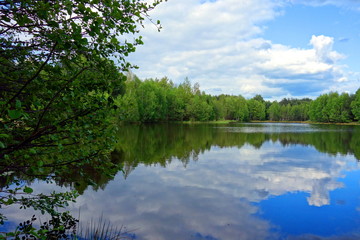 Fototapeta na wymiar green trees on edge of scenic lake 