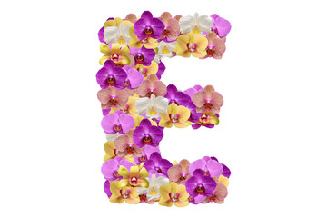 Letter e made of flowers