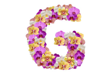 Letter g made of flowers