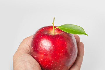 Hand holding red apple on white background