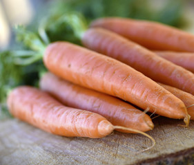 Fresh carrots bunch on rustic wooden background