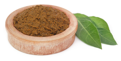 Ayurvedic henna leaves with paste