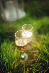 Two glasses of champagne on the grass