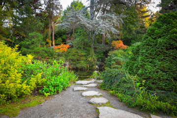 beautiful japanese green park in autumn time, Seattle