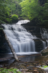 A long exposure of a waterfall scene in a forest of green trees.