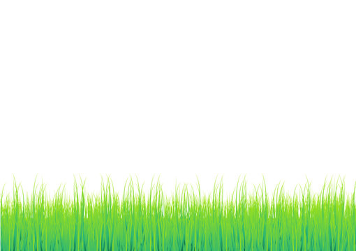 Green Grass with white background