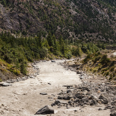 River with the rock mountain and forrest in Annapurna area, Nepa