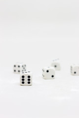 Dice on white background
