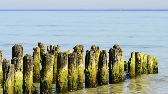 Buhnen am Ostseestrand in Polen