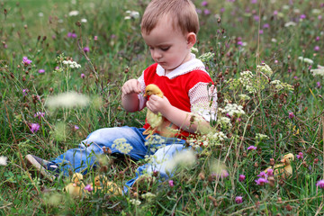 Boy feeds duckling  blade of grass.